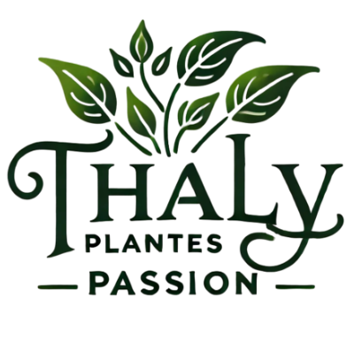 Thaly Plantes Passion